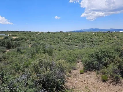 a view of a yard with sunset and trees
