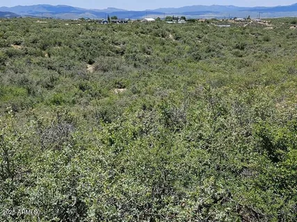 a view of a large yard with lots of green space