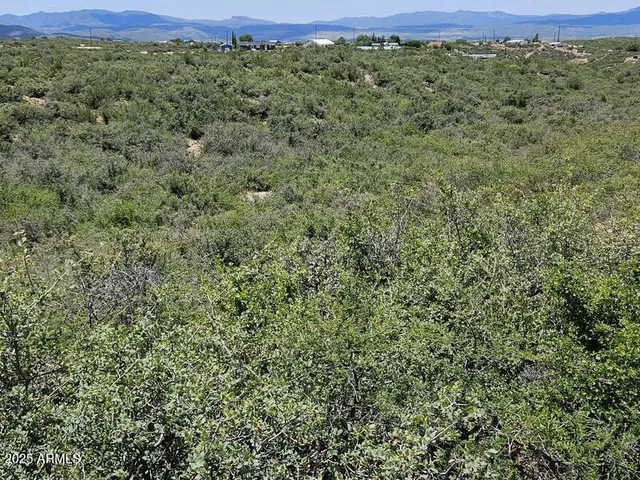 a view of a large yard with lots of green space