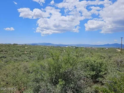 a view of a bunch of trees