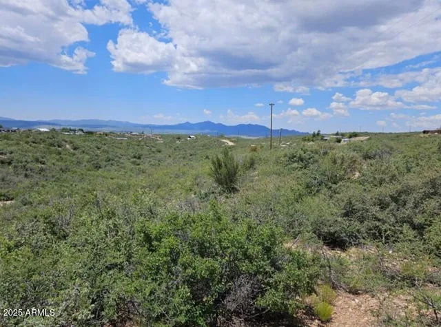 a view of a city with lush green forest