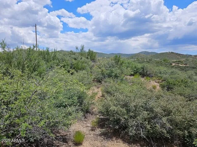a view of a city with lush green forest