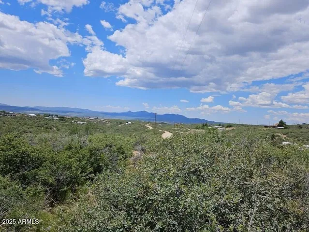 a view of a city with lush green forest