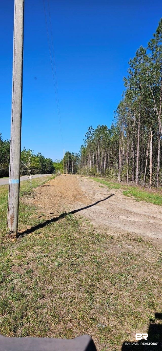 27861 New Hope Church Road Robertsdale, AL 36567 - Photo 19 of 29 View of yard