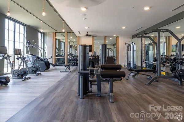 $1,876 | 536 West Tremont Avenue, Unit A3, Charlotte, NC 28203