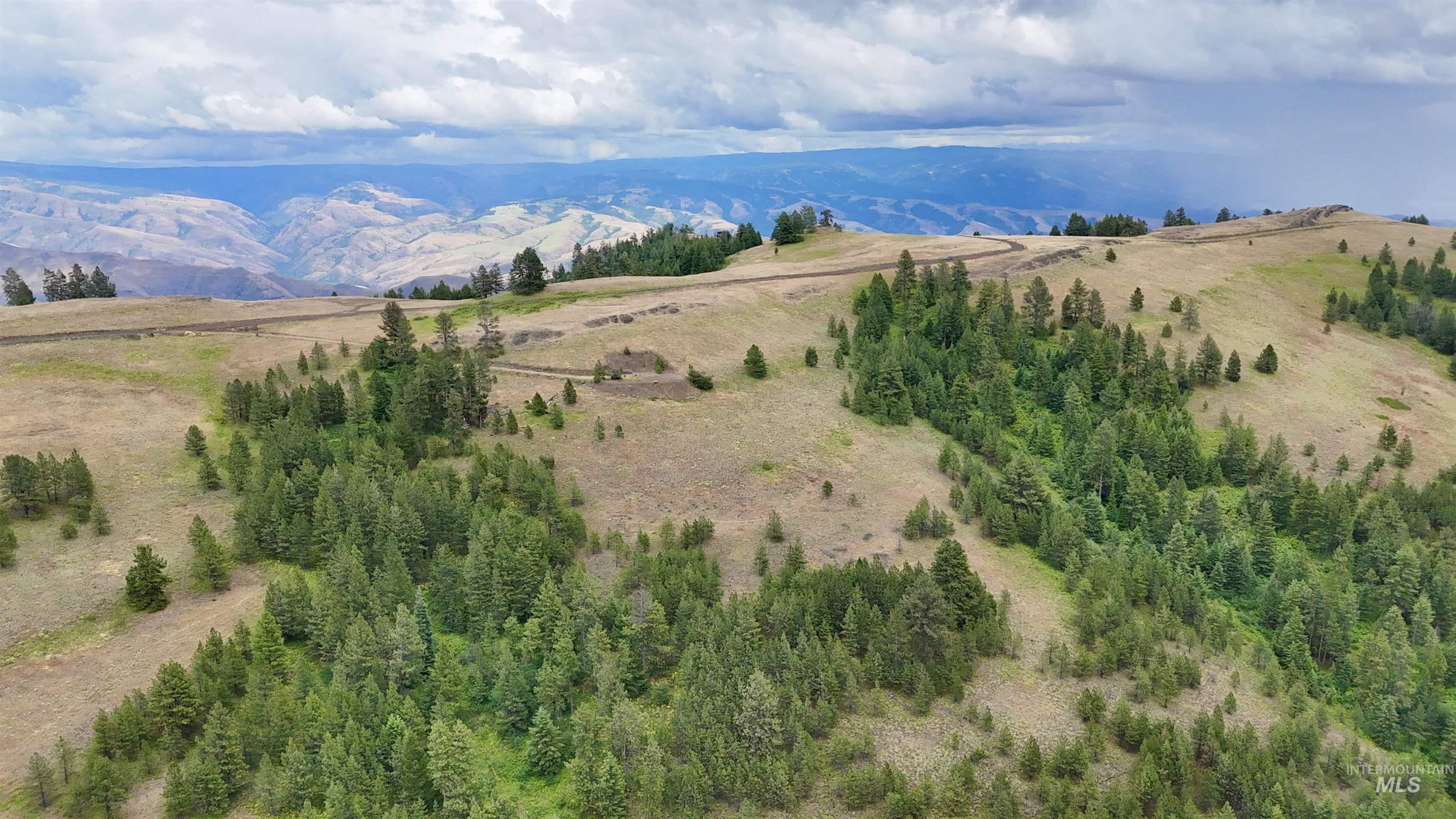 Lot 91 Pilgrim Ridge Road White Bird, ID 83554 - Photo 9 of 35