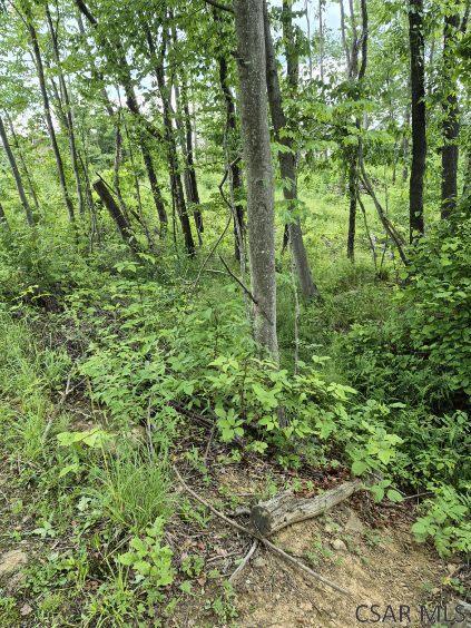 Ridge Road Hooversville, PA 15936 - Photo 19 of 23 Gallery Image 19