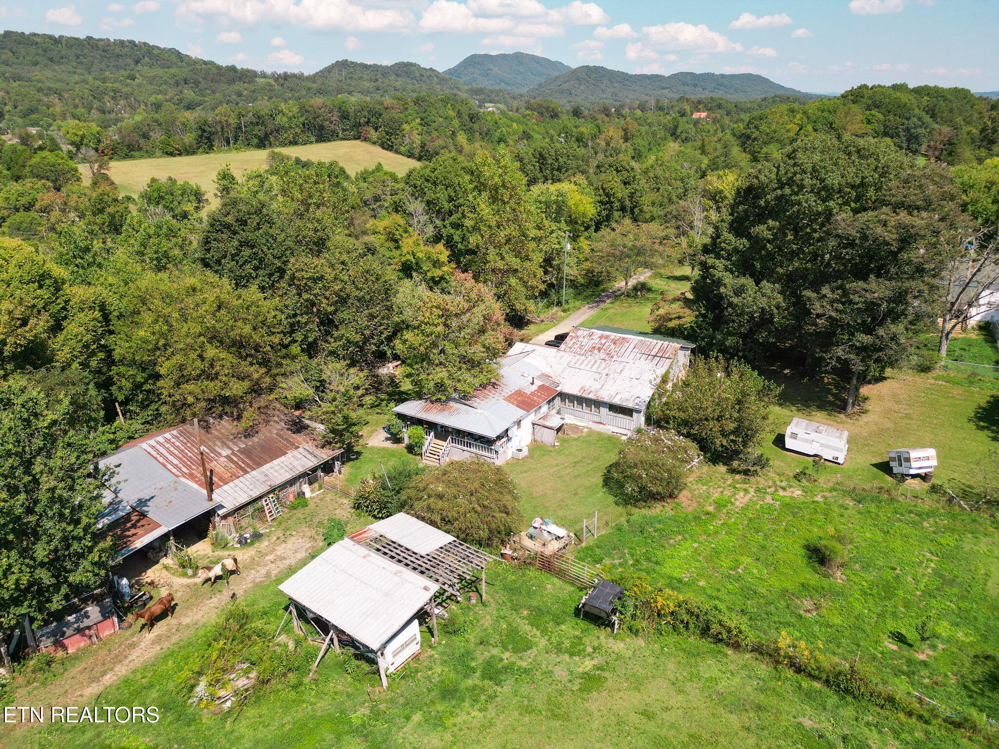2733 Shipe Road Mascot, TN 37806 - Photo 12 of 38 5-web-or-mls-005--FULL