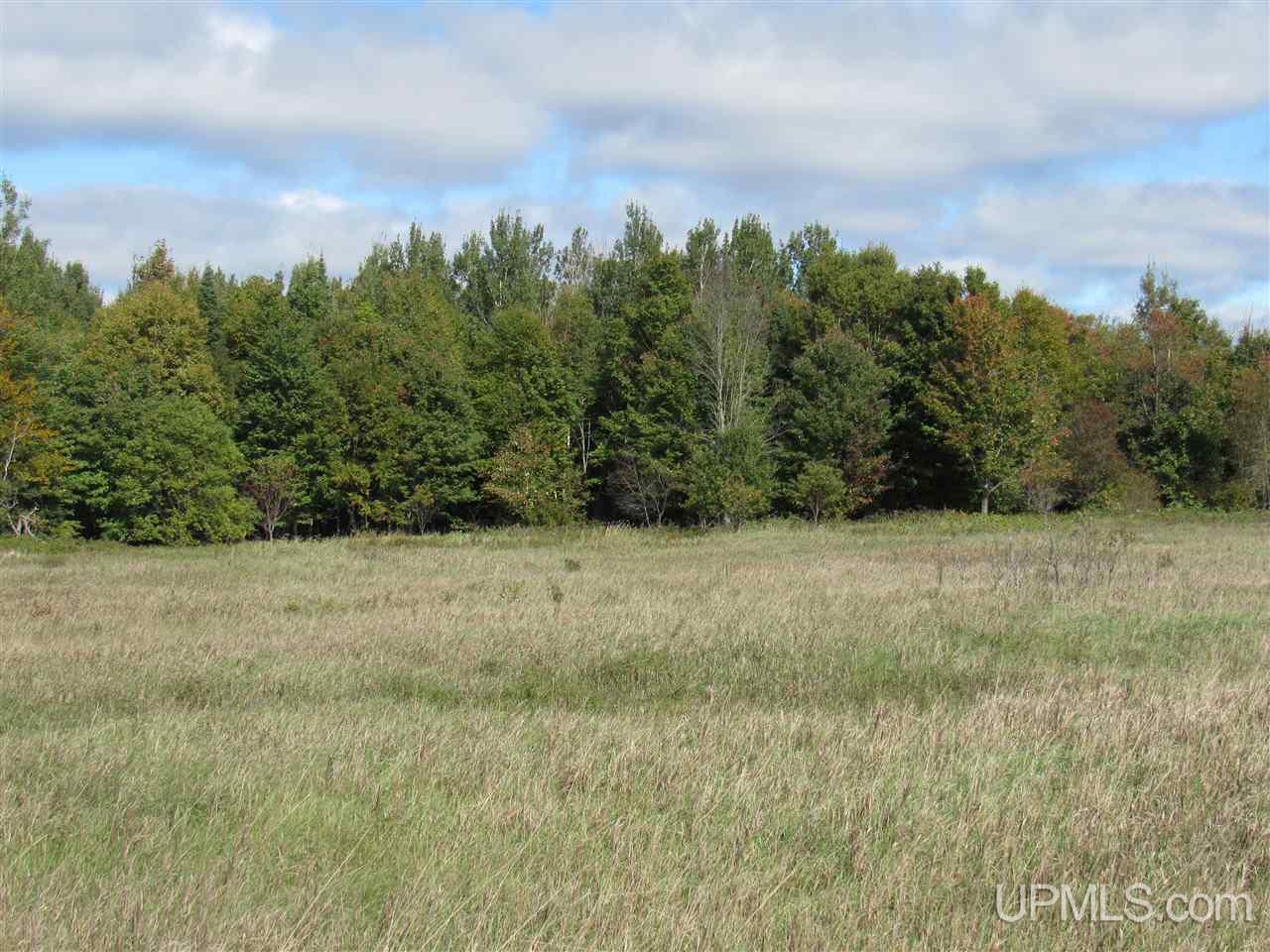 Tbd Kendall Road Manistique, MI 49854 - Photo 3 of 9