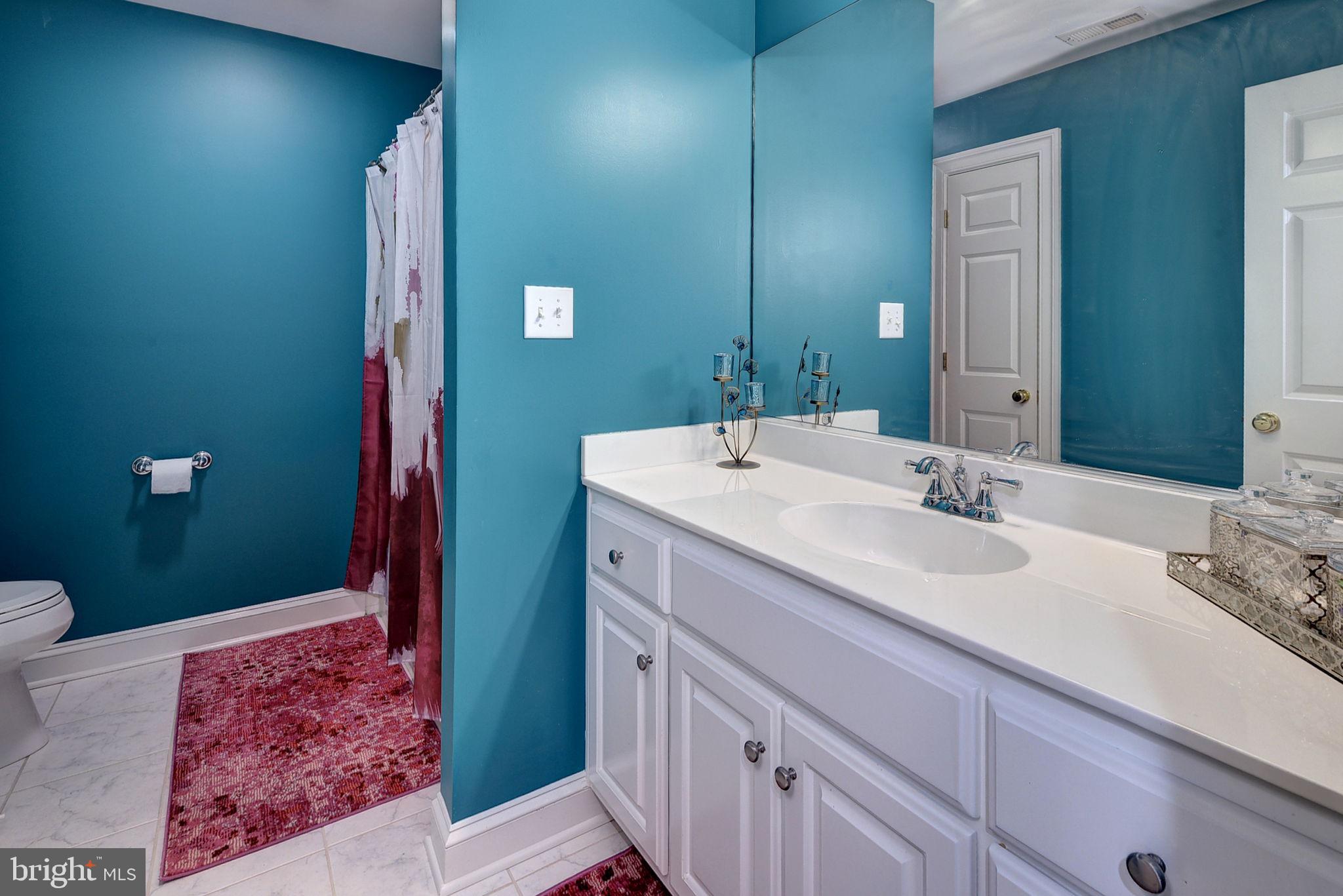 2076 Harpers Mill Road Williamsburg, VA 23185 - Photo 40 of 63 a bathroom with a sink and a mirror