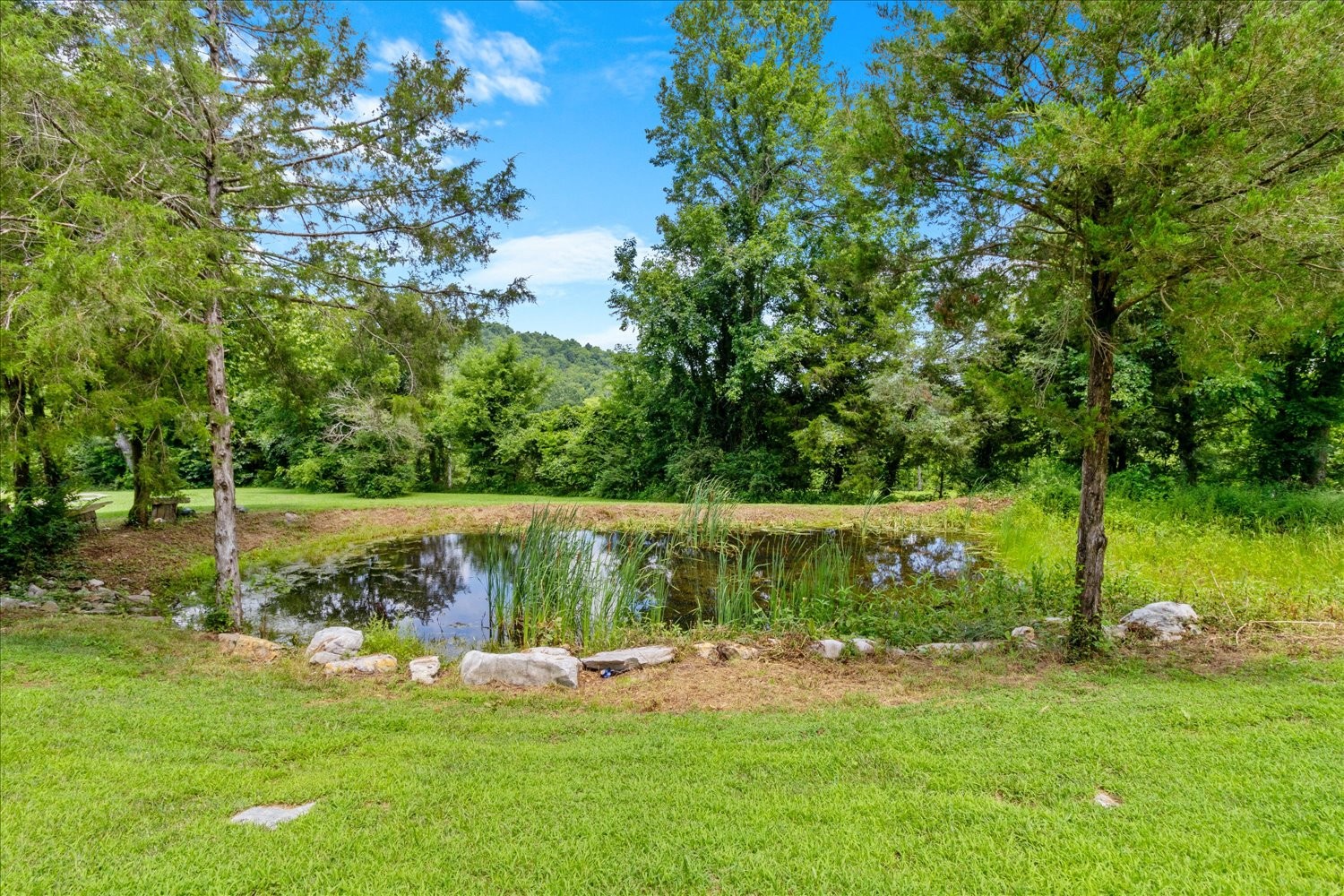 7230 Delina Road Petersburg, TN 37144 - Photo 8 of 43 Gallery Image 8