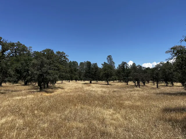$65,000 | Wilson Hill Road, Manton, CA 96059