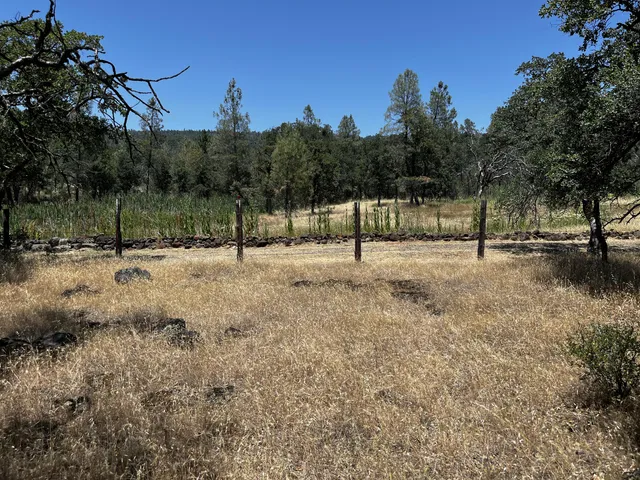 $55,000 | Wilson Hill Road, Manton, CA 96059