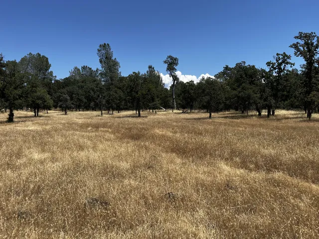 $55,000 | Wilson Hill Road, Manton, CA 96059