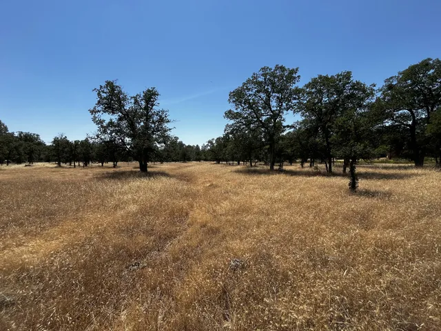 $55,000 | Wilson Hill Road, Manton, CA 96059