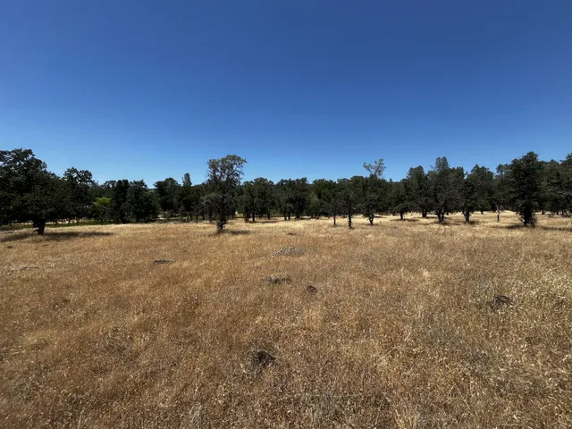 $55,000 | Wilson Hill Road, Manton, CA 96059