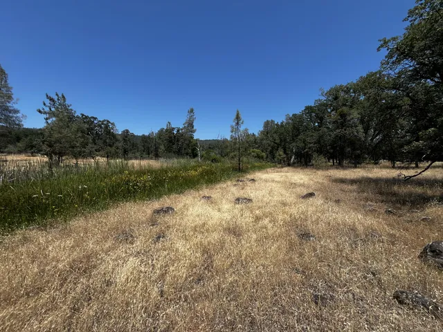 $55,000 | Wilson Hill Road, Manton, CA 96059