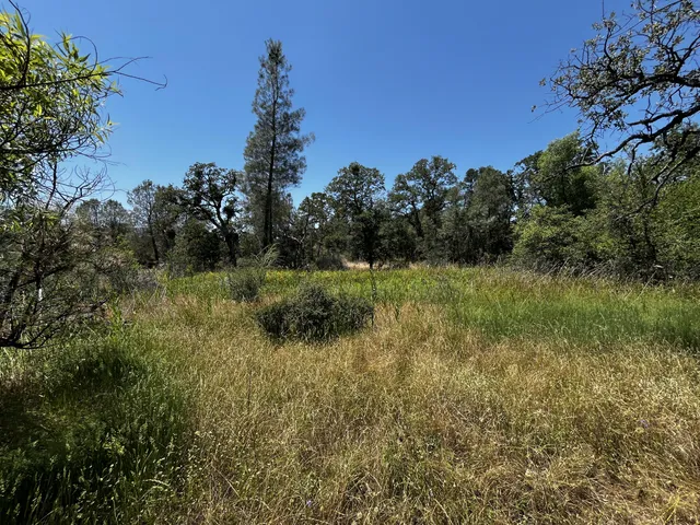 $55,000 | Wilson Hill Road, Manton, CA 96059