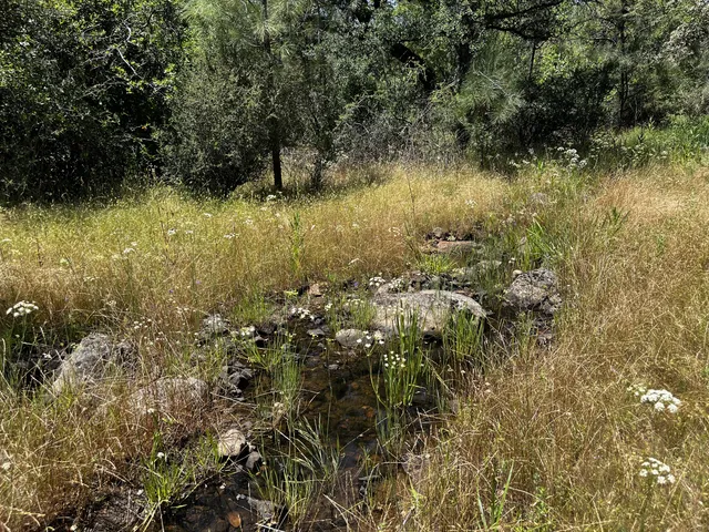 $55,000 | Wilson Hill Road, Manton, CA 96059