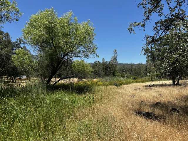 $55,000 | Wilson Hill Road, Manton, CA 96059