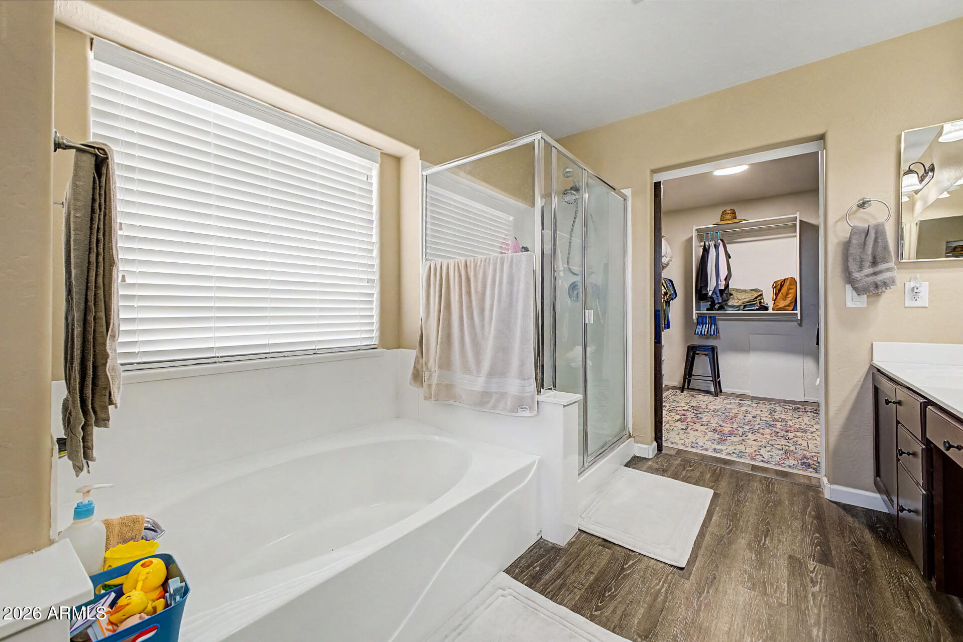 28929 North Calcite Way San Tan Valley, AZ 85143 - Photo 31 of 43 Primary bath