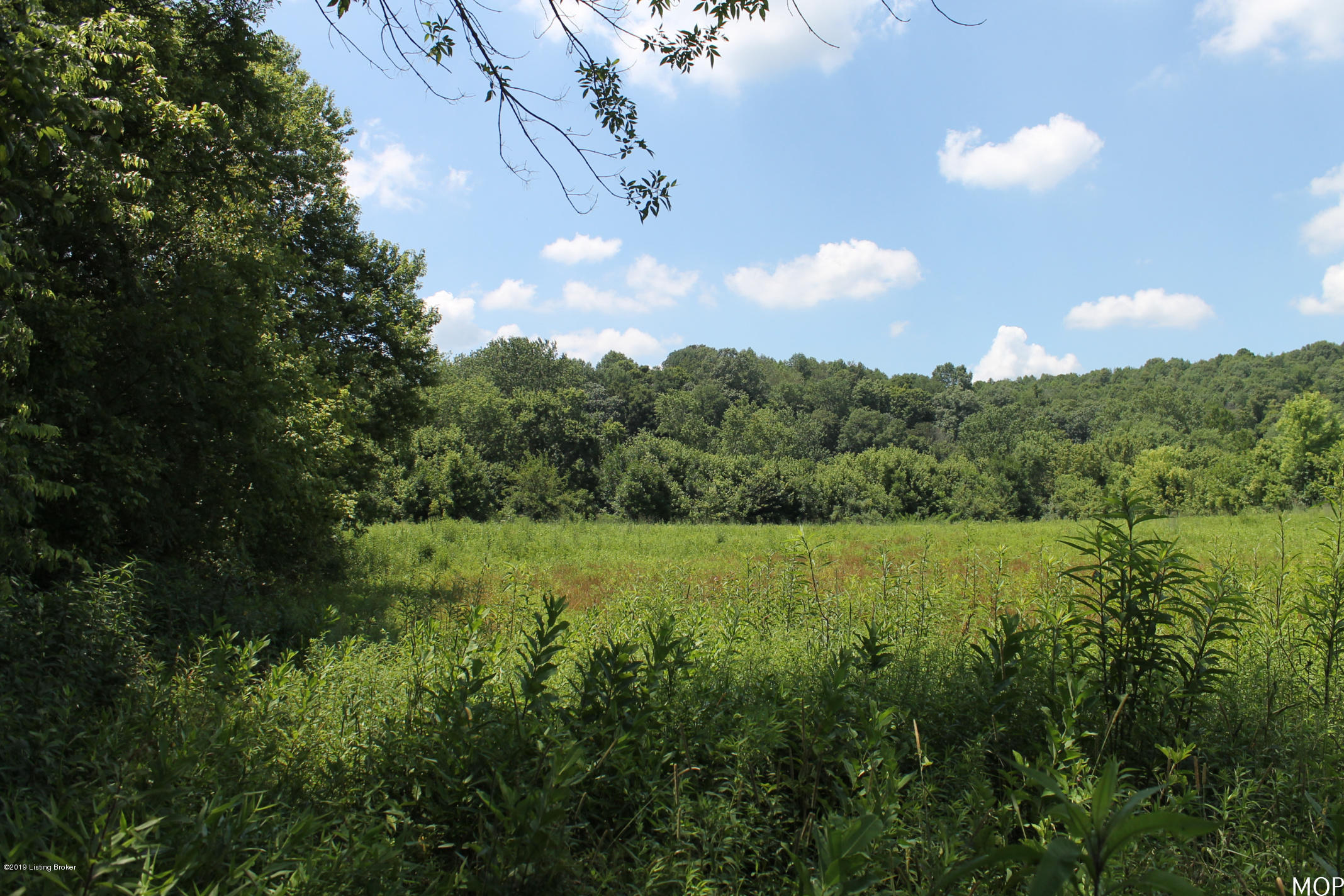 1000 Figett Bend Road Canmer, KY 42722 - Photo 17 of 61 IMG_2294