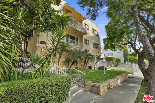 a view of a park with plants and trees
