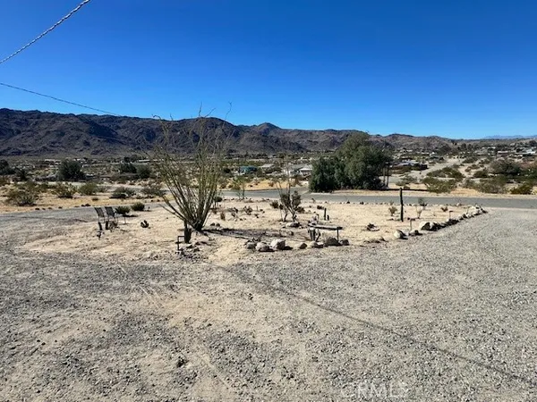 a view of a yard