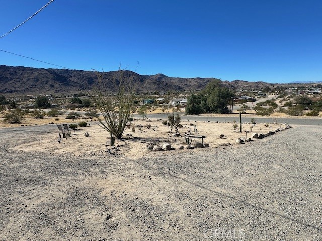 6597 Mesquite Springs Road Twentynine Palms, CA 92277 - Photo 34 of 44 a view of a dry yard with mountain view
