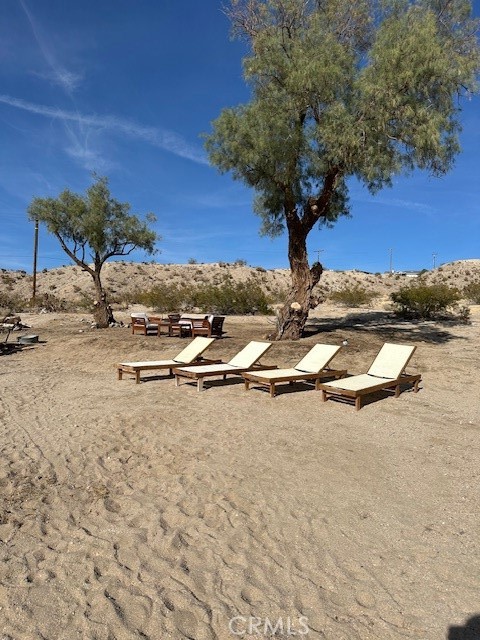 6597 Mesquite Springs Road Twentynine Palms, CA 92277 - Photo 43 of 44 a vase of flowers sitting on a table