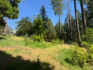 6433 Peg Leg Mine Road Georgetown, CA 95634 - Photo 4 of 9 a view of outdoor space and yard