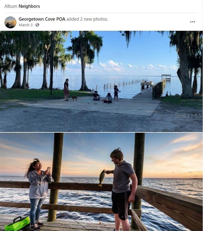 309 Siesta Drive Georgetown, FL 32139 - Photo 1 of 1 a view of living room