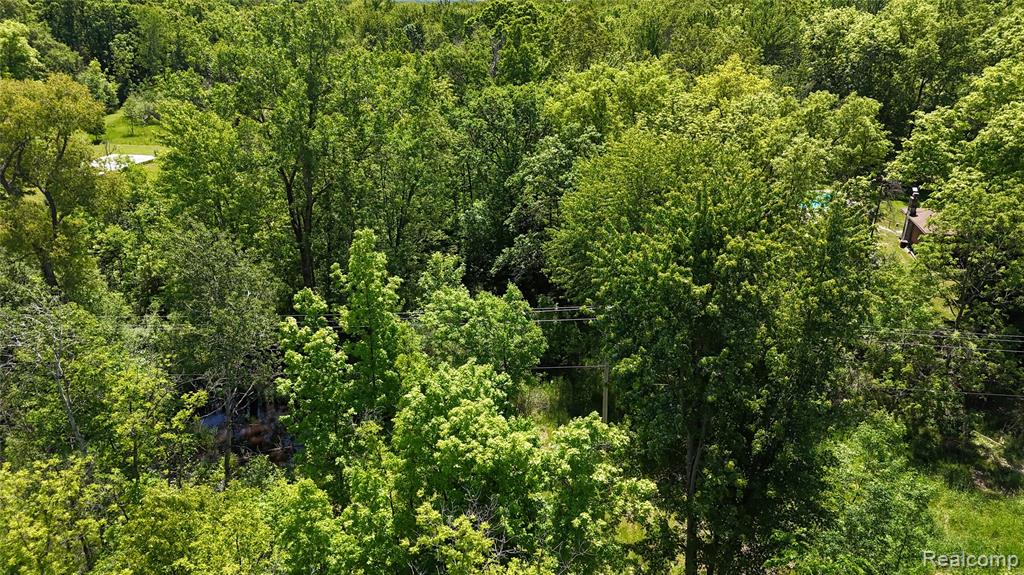 0 Williams Road Gaines, MI 48436 - Photo 14 of 28