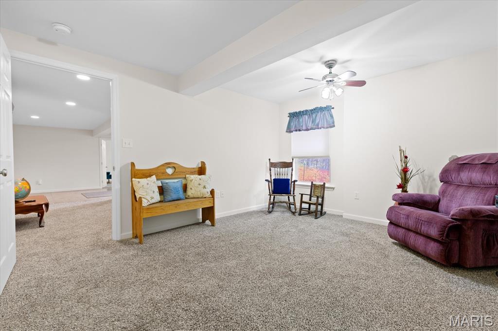 435 Winchester Way Winfield, MO 63389 - Photo 29 of 39