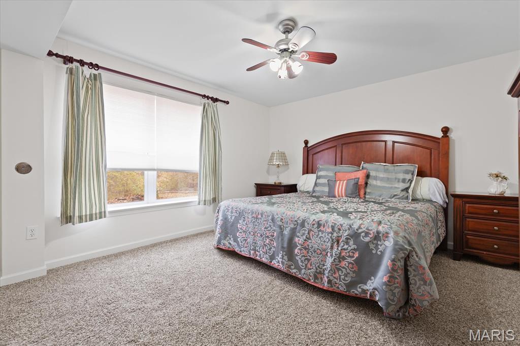 435 Winchester Way Winfield, MO 63389 - Photo 32 of 39