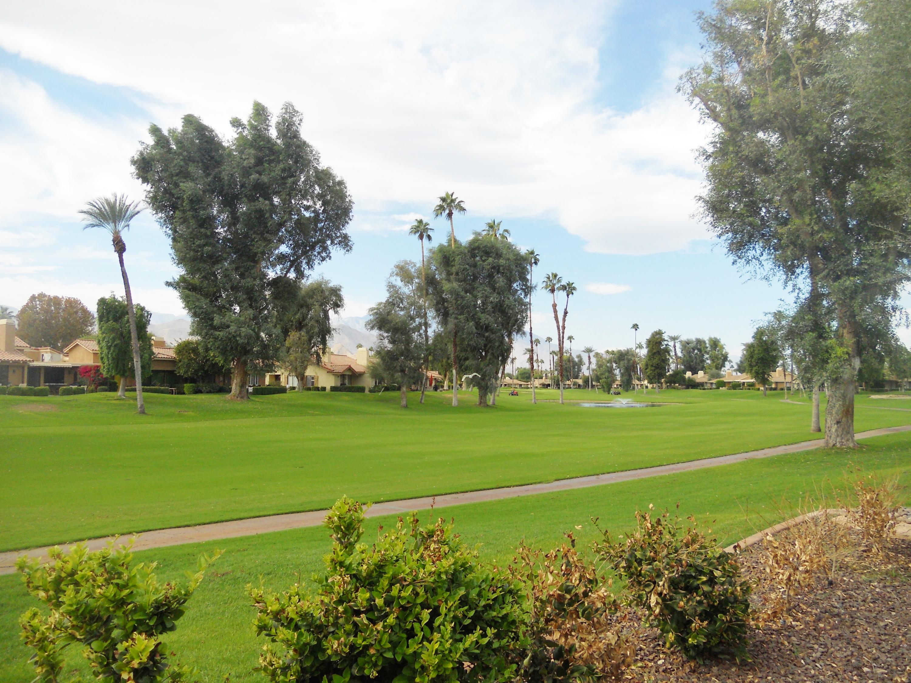a view of a golf course with a large trees