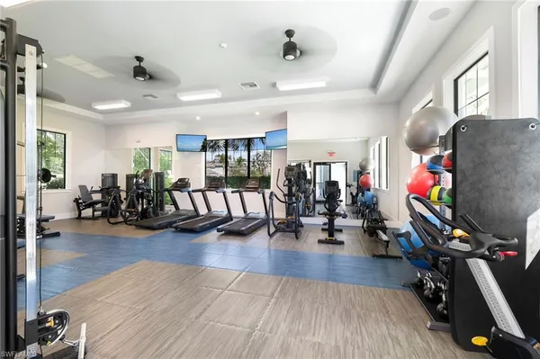 an aerial view of a yard with plants