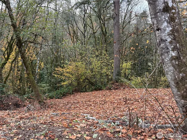 a view of a yard with a tree