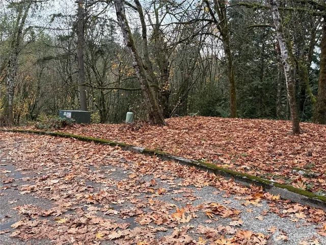 a view of a yard with a tree