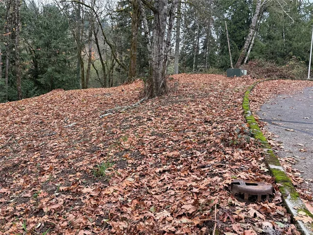 a view of a backyard of the house
