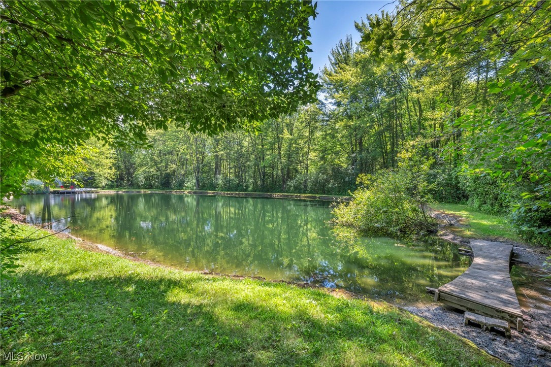 10982 Root Road Columbia Station, OH 44028 - Photo 37 of 49 View of yard featuring a water view and a view of trees