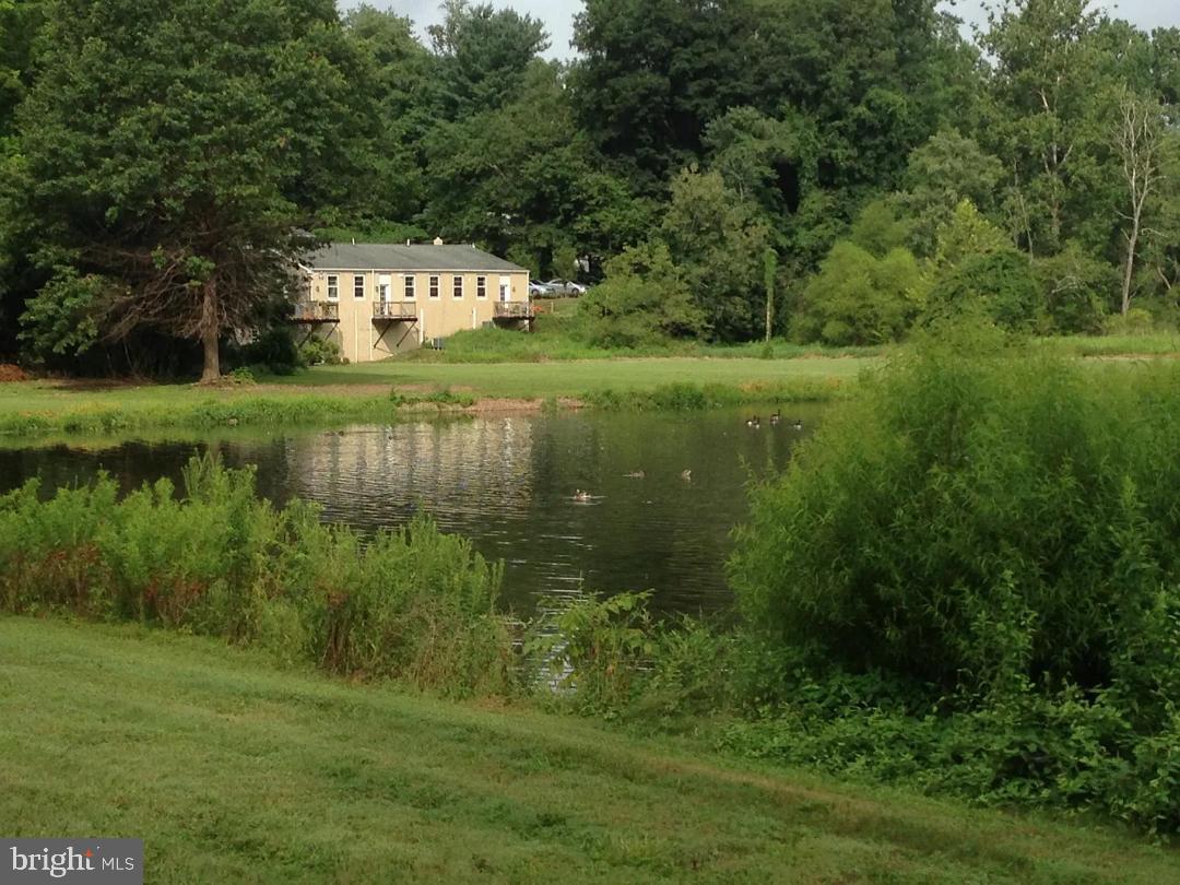 85 Valley Road, Unit 4 Phoenixville, PA 19460 - Photo 15 of 16 across the pond view