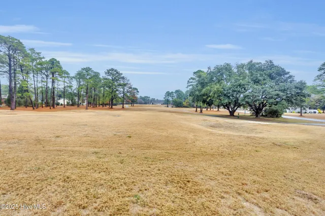 $2,000 | 1106 Navidad Bank Court, New Bern, NC 28560