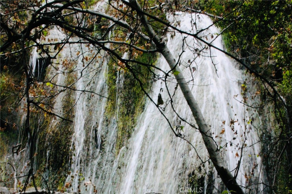 6349 Sycamore Meadows Drive Malibu, CA 90265 - Photo 10 of 10 a view of a tree in a yard