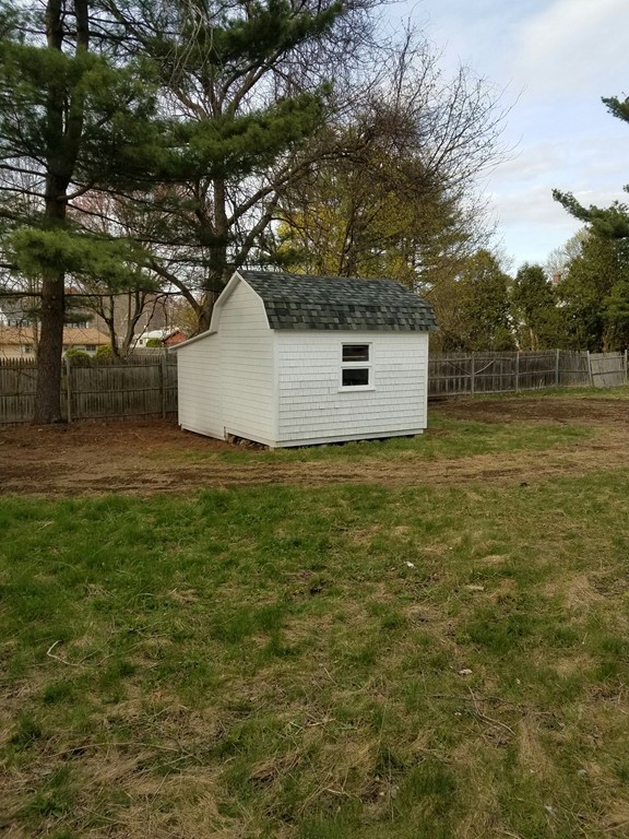 23 Lohnes Road Framingham, MA 01701 - Photo 26 of 26 a view of a tree with a yard