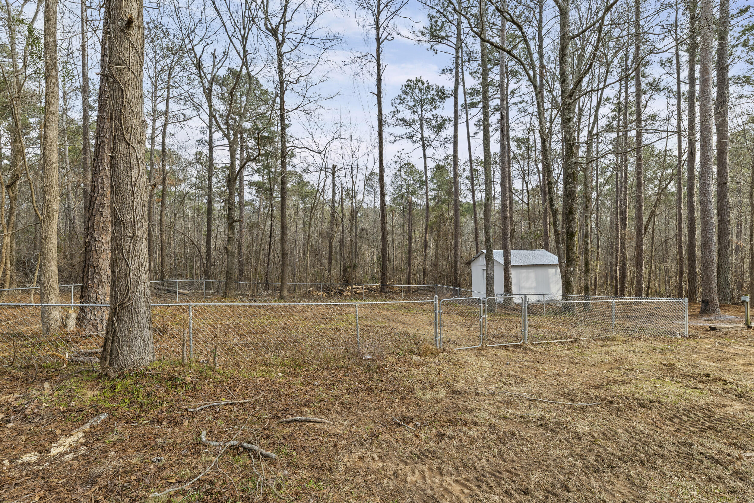 641 Mealing Road North Augusta, SC 29860 - Photo 30 of 37 Storage building!