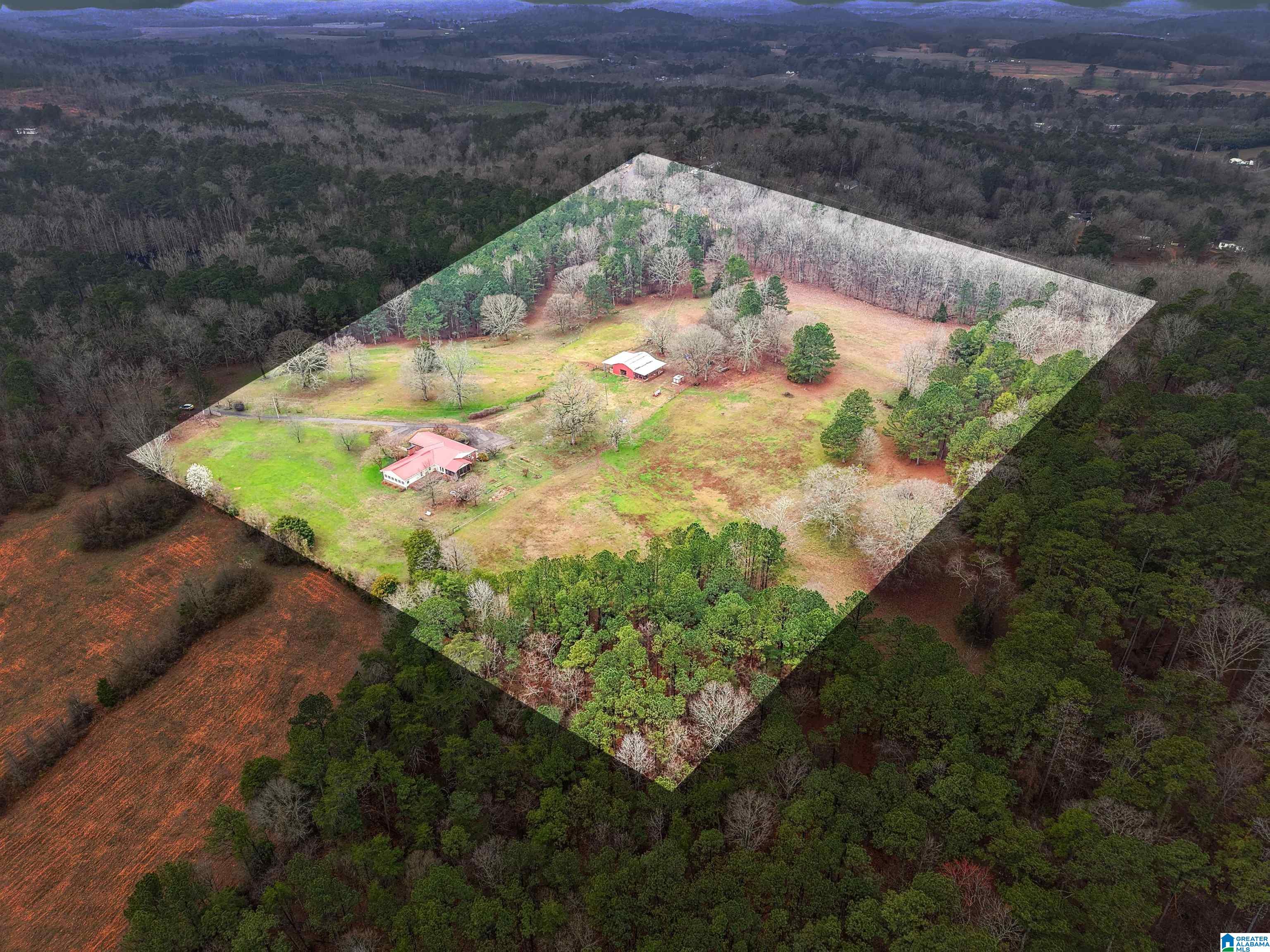 3953 Logan Martin Dam Road Cropwell, AL 35054 - Photo 60 of 99