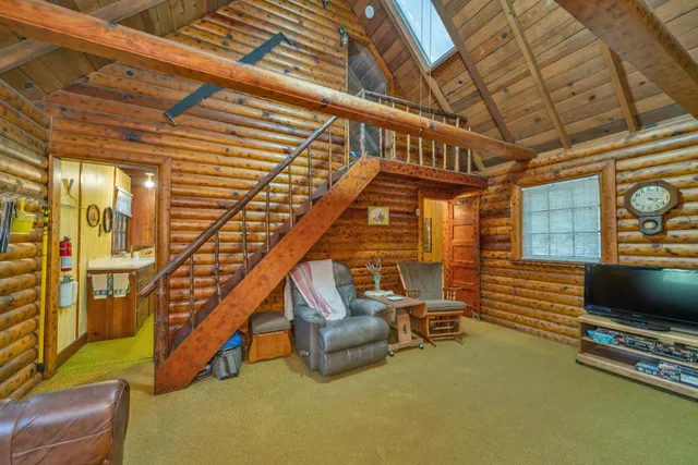 a view of a forest with a tree