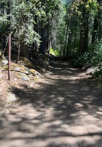 $250,000 | 10192 Bull Creek Road, Pollock Pines, CA 95726