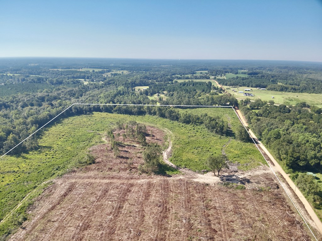 Undisclosed Address Slocomb, AL 36375 - Photo 8 of 23